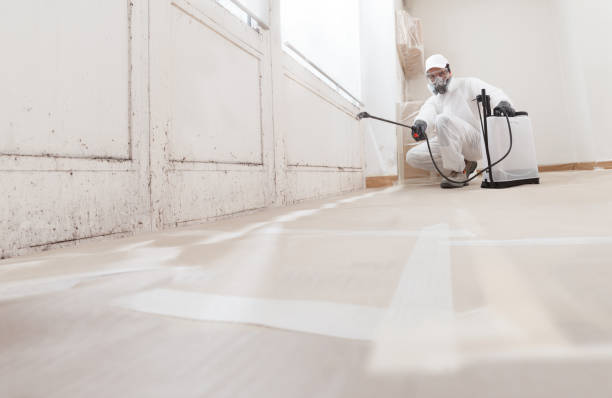 24/7 Emergency Mold Cleanup experts in Oldtown, MD